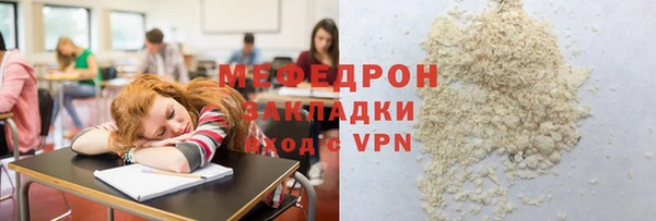 индика Белая Холуница