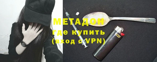 индика Белая Холуница