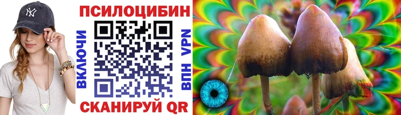 Галлюциногенные грибы Cubensis  Бокситогорск 